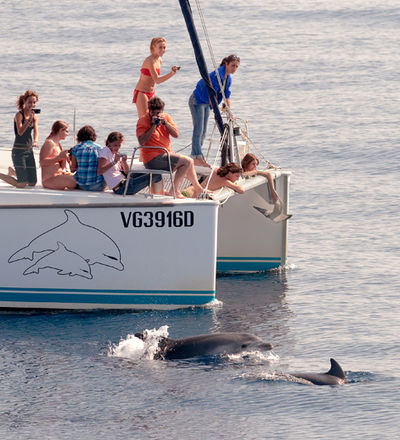 Boat trips organised by CE.TU.S to meet the dolphins, Viareggio