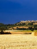 Monteriggioni dai campi