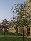 Mura di Buonconvento