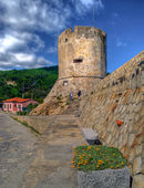 Tower of Marciana Marina