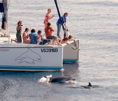 Boat trips organised by CE.TU.S to meet the dolphins, Viareggio