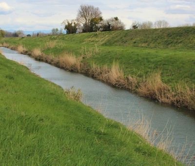 Campagna di Ponsacco