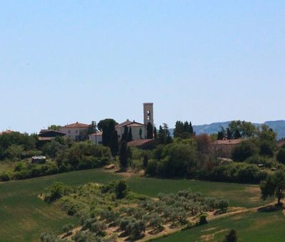 Hills of Orciano Pisano