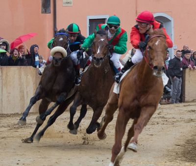 Il Palio di Buti