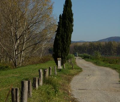 Ponte Buggianese, Padule di Fucecchio