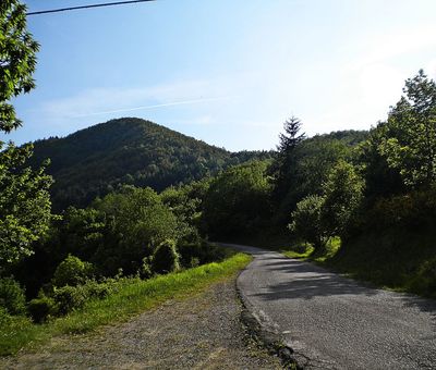 Strada in direzione di Gavigno