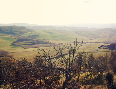 Campagna di Terricciola