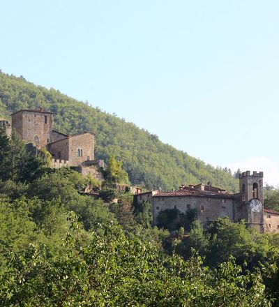 Castle of Castel San Niccolò