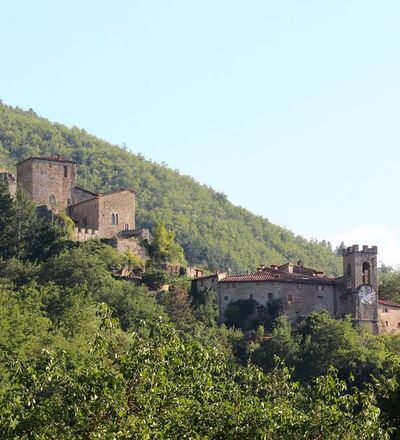 Castle of Castel San Niccolò