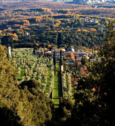 Cetinale, Sovicille