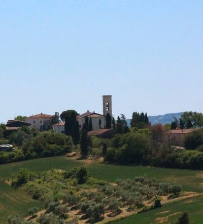 Hills of Orciano Pisano