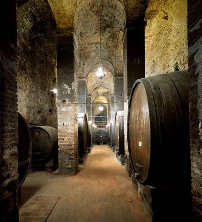 Montepulciano cantine