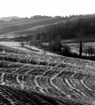 Monteroni d'Arbia