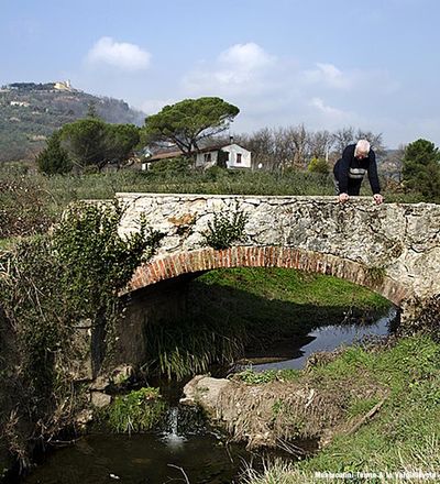 Pieve a Nievole