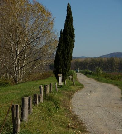 Ponte Buggianese, Padule di Fucecchio