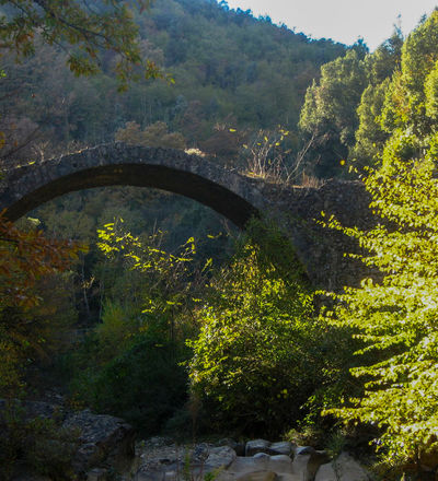 Ponte della Pia, Sovicille