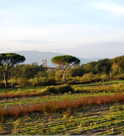 Porcari campagna