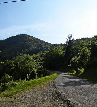 Strada in direzione di Gavigno