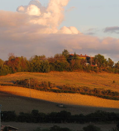 The countryside of Campagnatico 