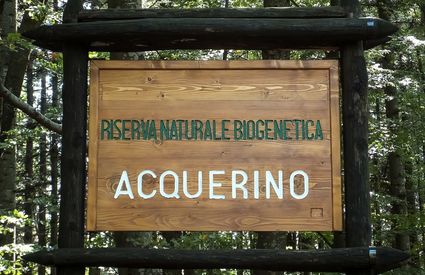 Acquerino-Cantagallo Reserve