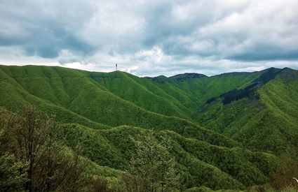 Acquerino-Cantagallo Reserve