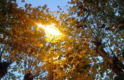 Autunno a Buonconvento