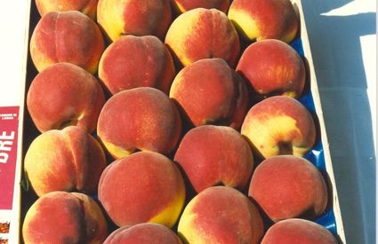 Box of Queen Peaches of Londa