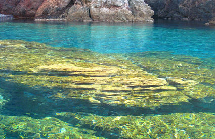 Cala del Reciso, Isola di Capraia