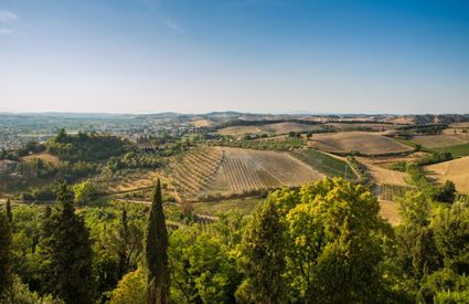 Campagna di Certaldo