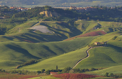 Campagna Gambassi