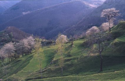 Careggine paese Garfagnana montagne pascoli