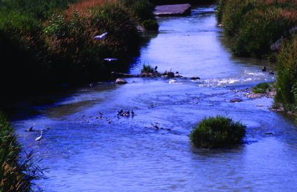 Castelfiorentino fiume