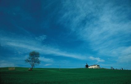 Castelfiorentino, veduta della campagna