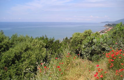 Castiglione