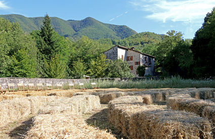 Chicon Mill