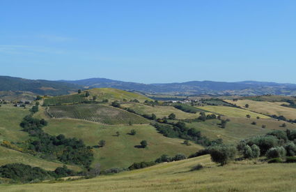 Cinigiano, campagna