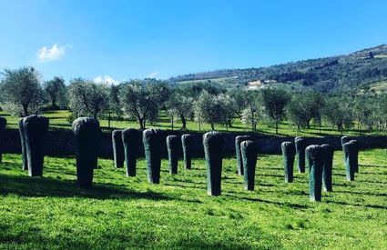 Fattoria di Celle, Giuliano Gori, Pistoia