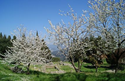 Fiesole