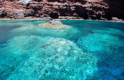 Fondale di Cala Rossa, Isola di Capraia