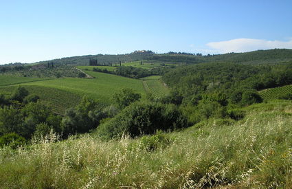 Gaiole in Chianti