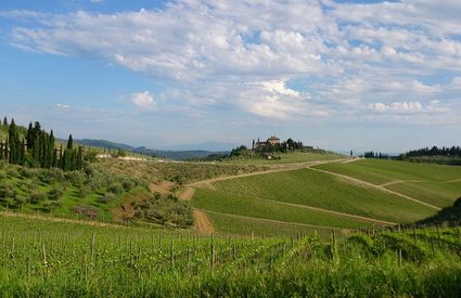 Gaiole in Chianti