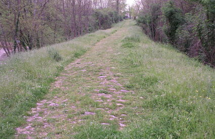 Historical path along Via Francigena , Altopascio