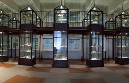 Interno Museo archeologico, Rio nell'Elba