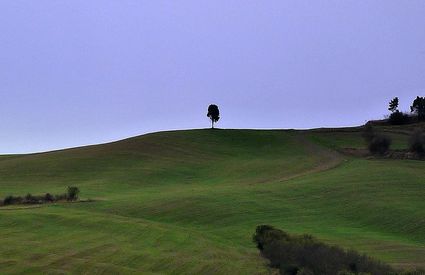 Lajatico headland