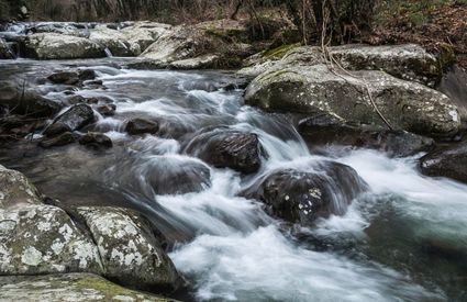 Loro_ciuffenna_fiume_2