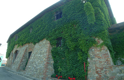 Molteplici le frazioni e i borghi presenti nel territorio comunale di Terranuova Bracciolini, tra cui Campogialli, Piantravigne, Persignano, e Malva