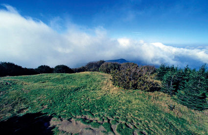 Monte Falterona, Casentino 