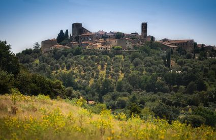 Montemerano dai campi