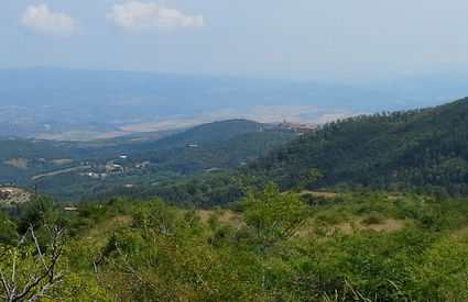 Monticello Amiata, riserva naturale di Poggio all'Olmo