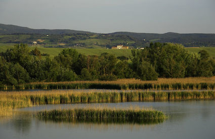 Oasi Lipu, Santa Luce